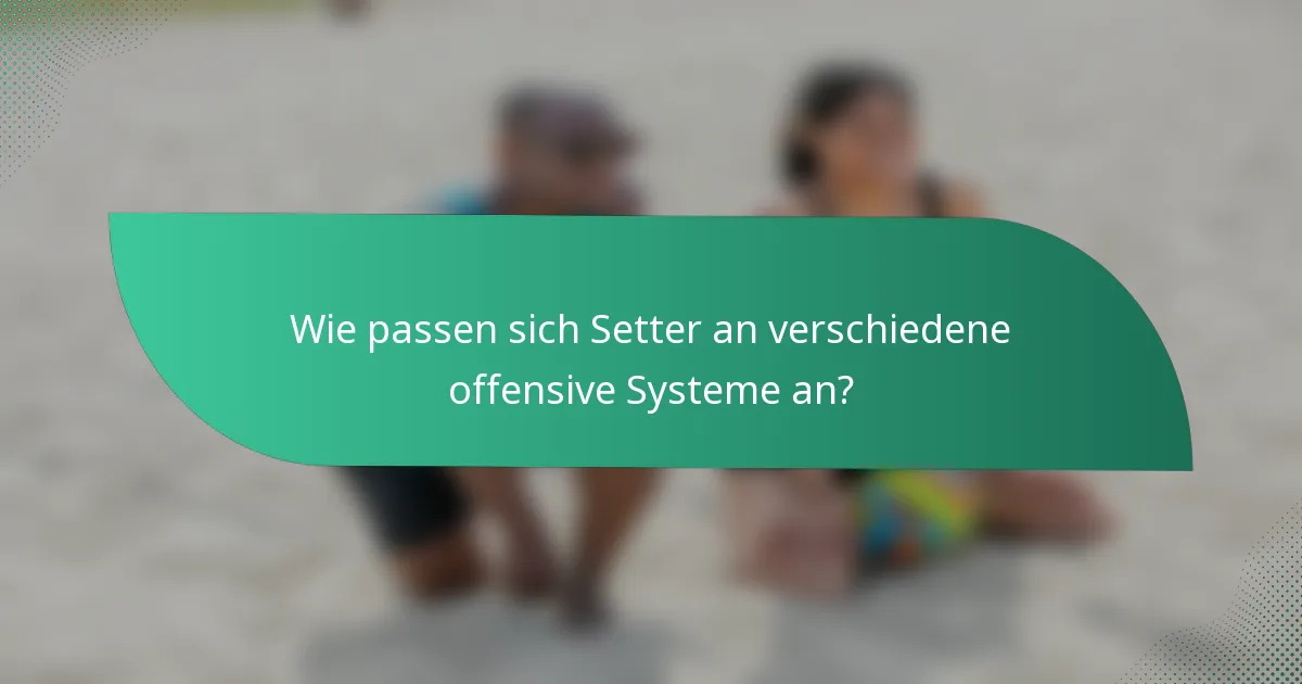 Wie passen sich Setter an verschiedene offensive Systeme an?